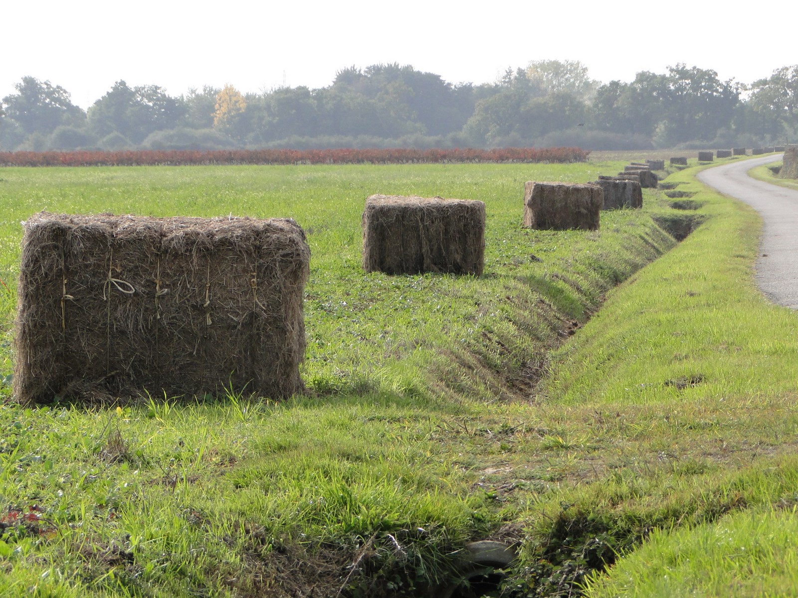 Cadre de vie, Environnement et Patrimoine
