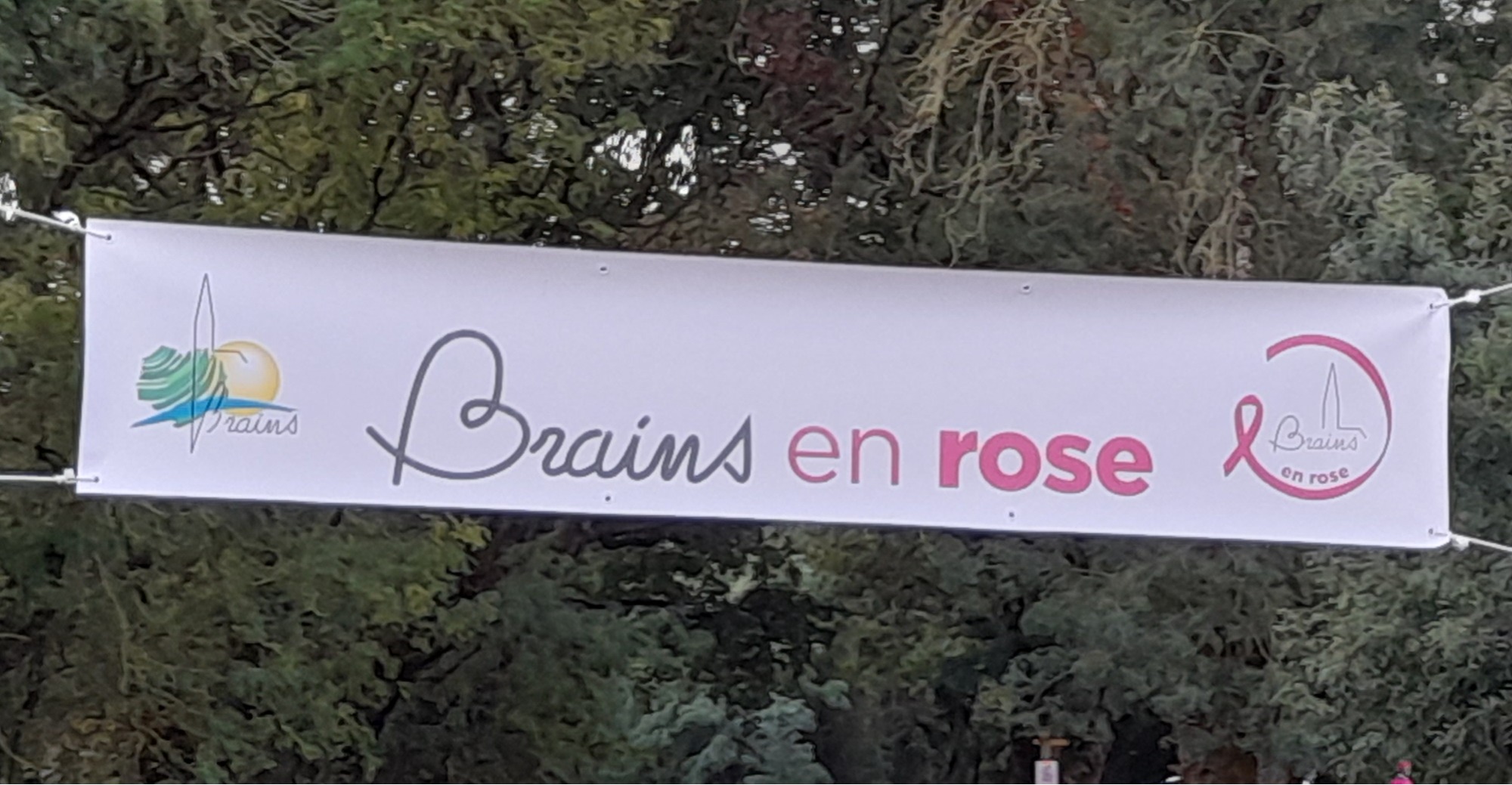 Animation Locale, Vie Associative et Sportive